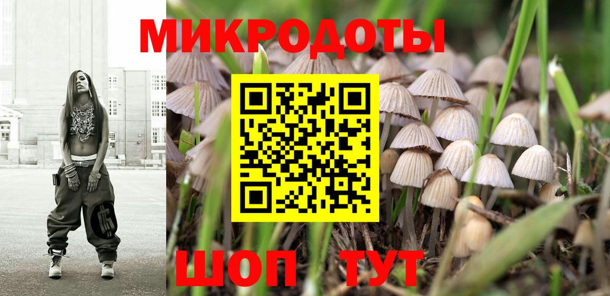 Галлюциногенные грибы MAGIC MUSHROOMS Соль-Илецк