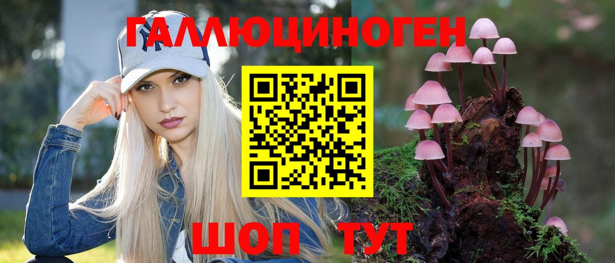 Галлюциногенные грибы Psilocybe  Вход с VPN  где можно купить наркотик  Соль-Илецк 